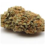 Шишки AK47 (Гидропоника, Бошка) VHQ в Шахтах Шишки AK47 (Гидропоника, Бошка) VHQ в Шахтах